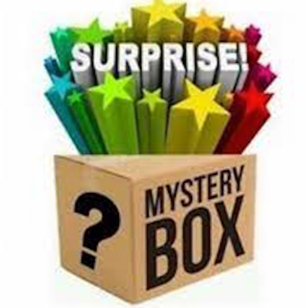5 Pound MYSTERY BOX TOTES TRAIN CASE DUFFEL BAGS FIVE ITEMS PER BOX!